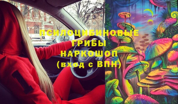 шишки Верея